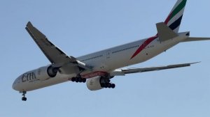 ✈️ Красавец на посадке!