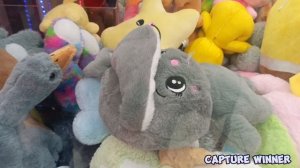 СНОВА КРАСИВЫЙ СЕРЫЙ ЗАЙКА С БОЛЬШИМИ ГЛАЗКАМИ В МУЗЫКАЛЬНОМ АППАРАТЕ 🐰, будем ловить🥰🥰🥰