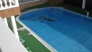 Сочи, пансионат Риал 2012