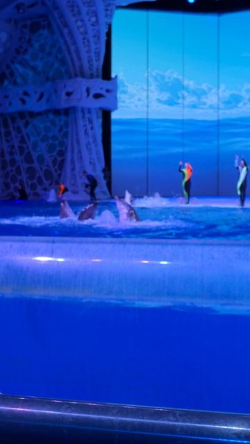 Москвариум - танец дельфинов смотреть онлайн