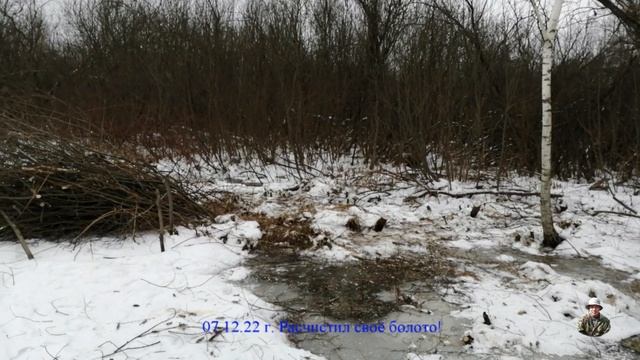 07 12 22 г Расчистил болото! смотреть онлайн