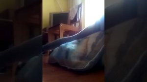 Как научиться делать шпагат неверите сами посмотрите