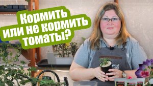 2 главные подкормки для рассады томатов!