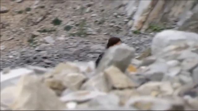 Татьяна Скворцова "Ты мне нужен" смотреть онлайн