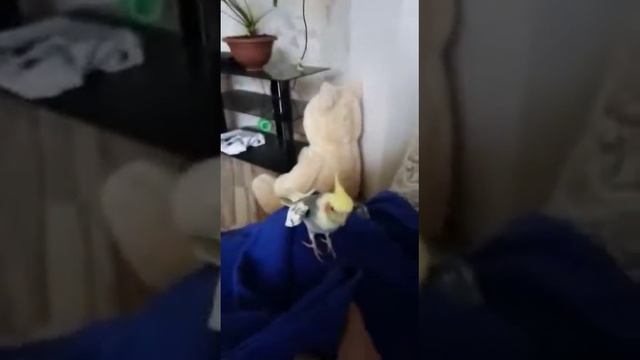 Корик краснодар🤗 смотреть онлайн