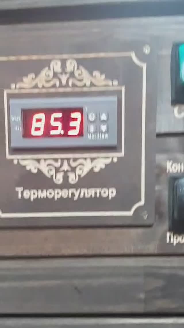 Я Попробовал Готовить Рульку в СУВИДЕ и Это Сработало  #еда #коптильня