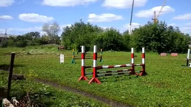 Федерация конного спорта Ишим Банникова Алёна на Базисе. Конкур 70 см. смотреть онлайн