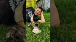 Пихтовое село. Поездка на болотоходе.