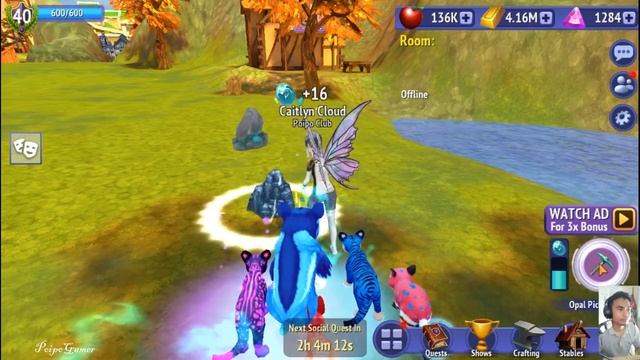 Searching Opal In Horse Riding Tales