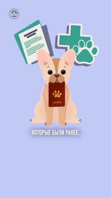 Как подготовить питомца к походу в клинику? смотреть онлайн