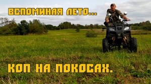 Ищем монеты на покосах. Коп по старине.