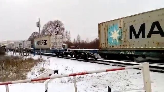 МЕТАЛЛСЕРВИС - Москва (Электроугли). Прибытие контейнерного поезда с металлопрокатом смотреть онлайн