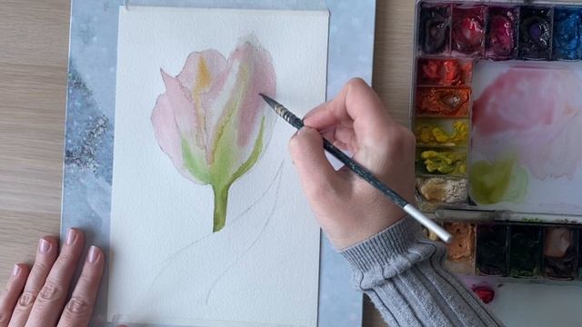 Тюльпан акварелью. Часть 4. Первая заливка смотреть онлайн
