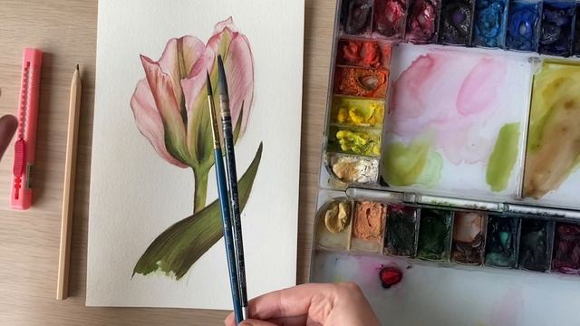 Тюльпан акварелью. Часть 1. Обзор материалов. смотреть онлайн