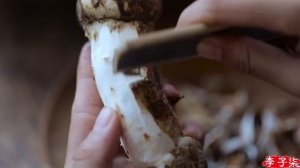 Мацутакэ — Это похоже на эльфа, которая растет под красными соснами на высоте 3000 метров.