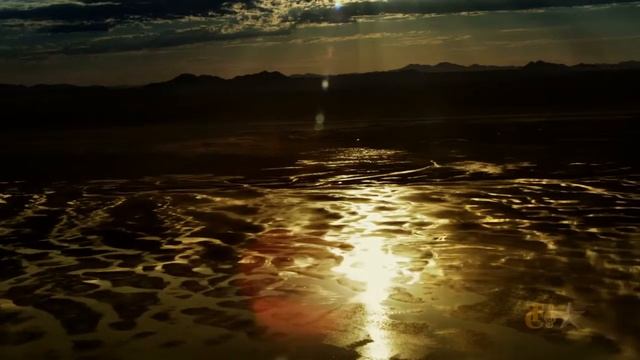 Sting: Desert Rose смотреть онлайн