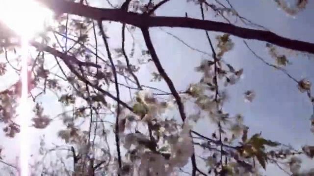 А помнишь сад... Лариса Мерзлякова смотреть онлайн