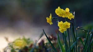 22 марта Всемирный день воды