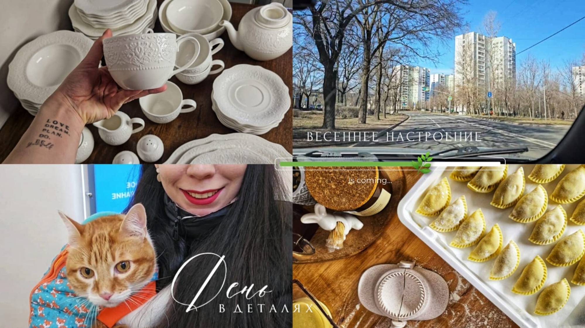 Моя коллекция сервировочной посуды | Вкусный ужин | Ежегодный чек-ап Зефирки | Закупка продуктов смотреть онлайн