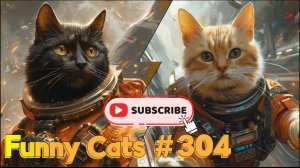 Смешные коты #304