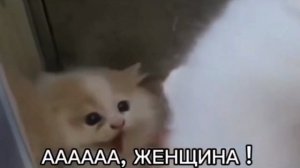 Ааа, женщина!!!!