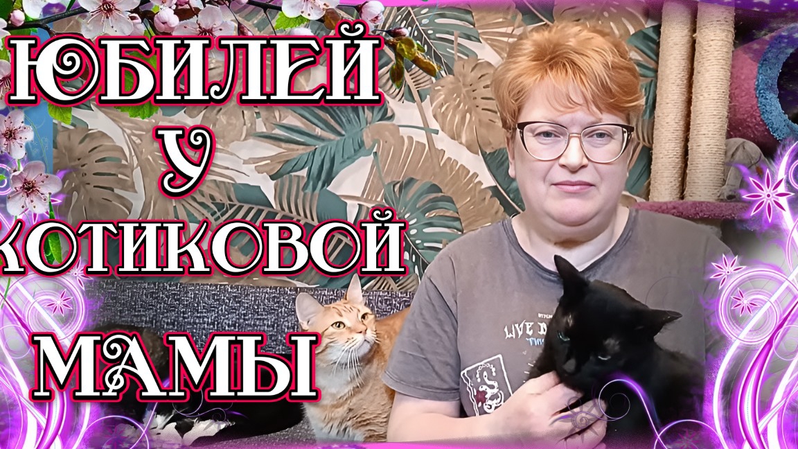 Юбилей у котиковой мамы. смотреть онлайн