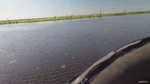 ЗМЕЕГОЛОВ реки Белая (сезон 2019 года)