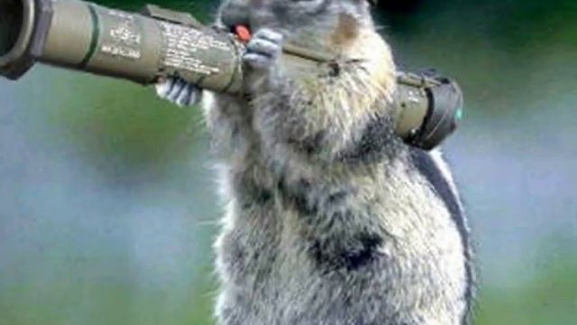 Space Dogs II смотреть онлайн