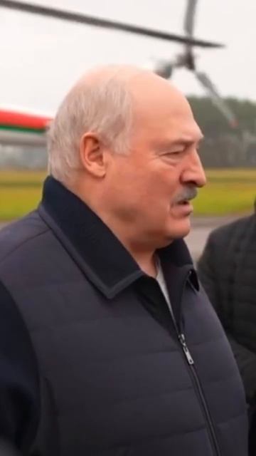 Когда спросил делали ли все участники марафона физические упражнения смотреть онлайн