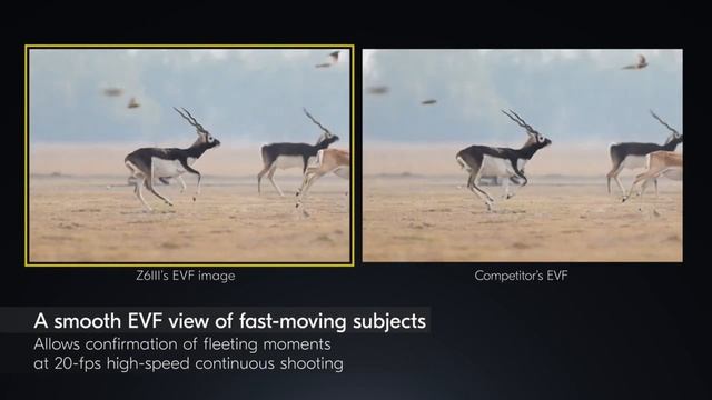 Nikon Z6 III Review: World's First Partially Stacked CMOS Sensor!