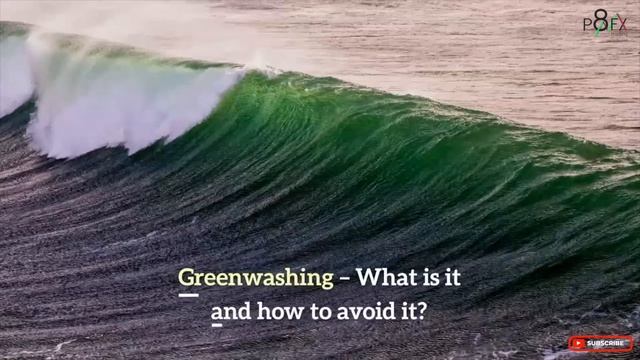 How to Choose Sustainable Investments and Avoid Greenwashing смотреть онлайн