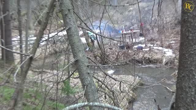 Весенняя разведка