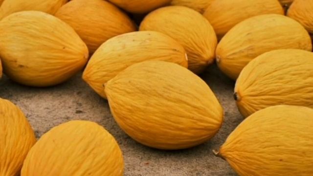 МЫНА 5 АДАМҒА ҚАУЫН ЖЕУГЕ БОЛМАЙДЫ смотреть онлайн