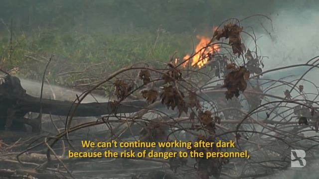 Indonesia, Malaysia Battle Forest Fires as Haze Blankets SE Asia смотреть онлайн