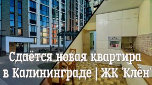 Сдаётся новая квартира в Калининграде | ЖК 'Клён'