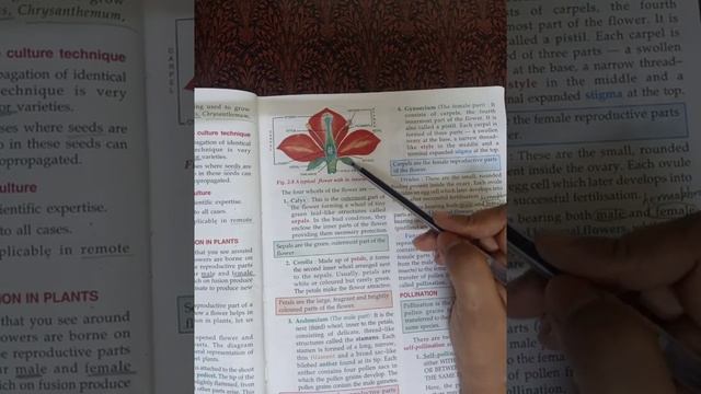 Class 8 Biology chapter 2 Reproduction in plants (part-2) смотреть онлайн