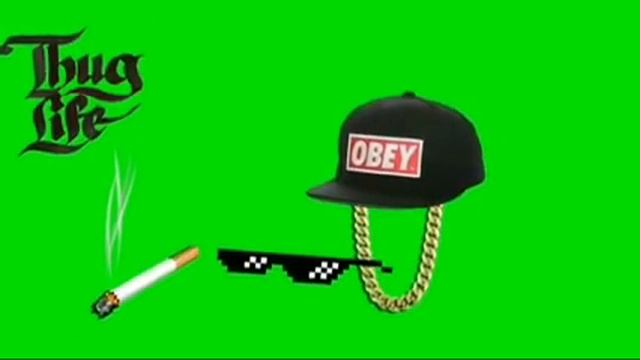 Thug Life meme / to remove green screen watch the first video #memes смотреть онлайн
