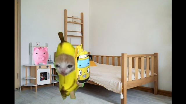 Banana Cat Crying New Bicycle #cry Videos #catmemes #bananacat #happycat #fyp