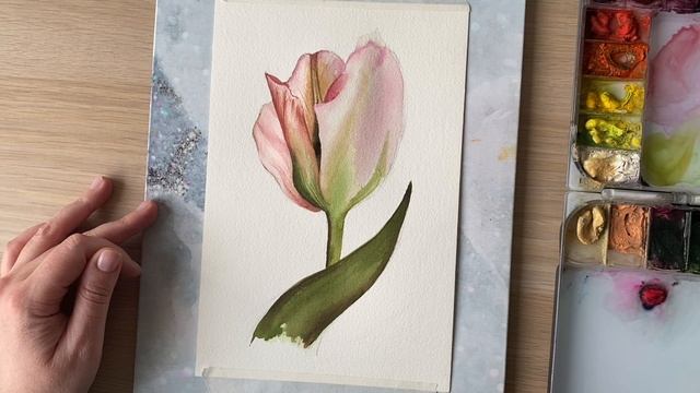 Тюльпан акварелью. Часть 5. Второй слой и проработка деталей смотреть онлайн