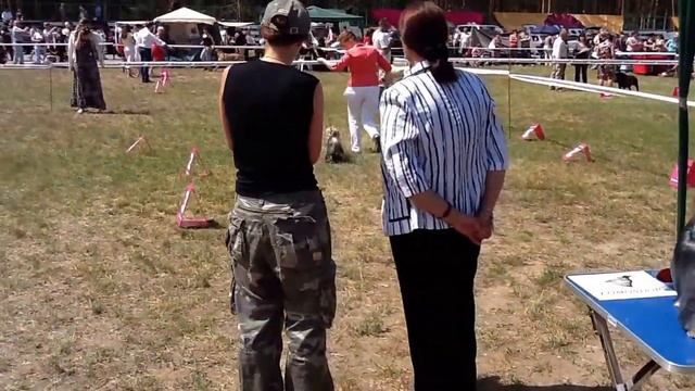 07.07.2012 Владимир CACIB смотреть онлайн