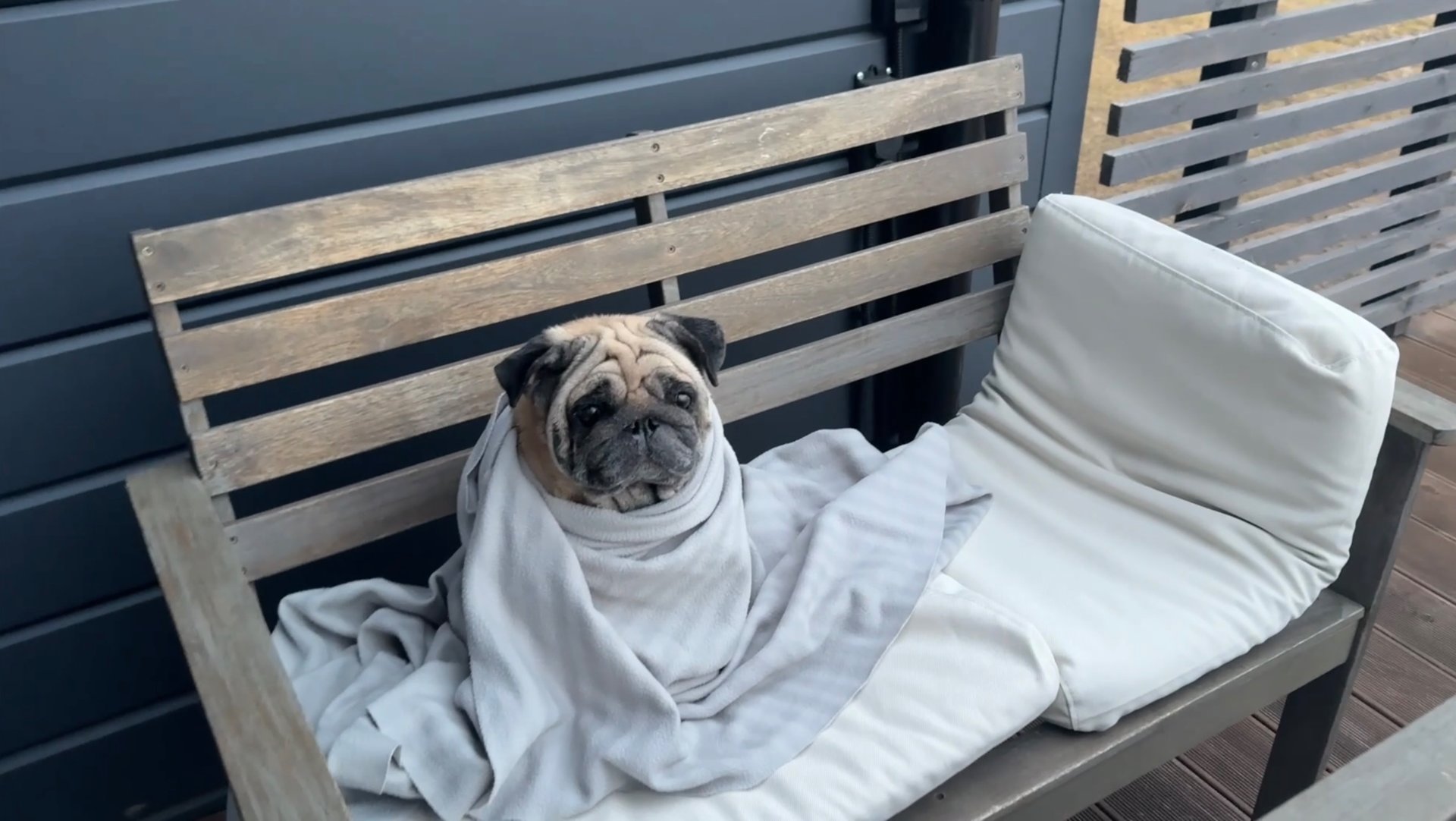 Весна! Открываем дачный сезон, магазин Фамилия, Randewoo, покупки!🏠🌱♥️