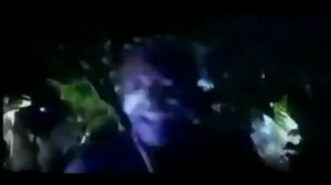 Bushman  - No 1 Else