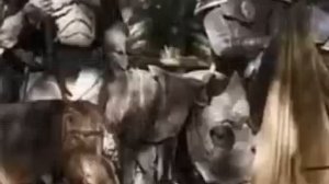 En El Nombre Del Rey Película Completa en Español Latino