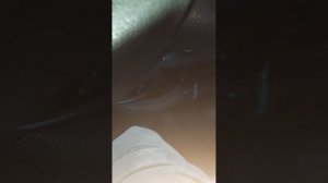 УАЗ хантер. Бюджетная доработка штатного отопителя