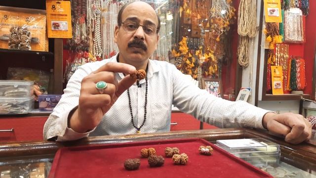 Gauri shankar Rudrakhs benefits смотреть онлайн