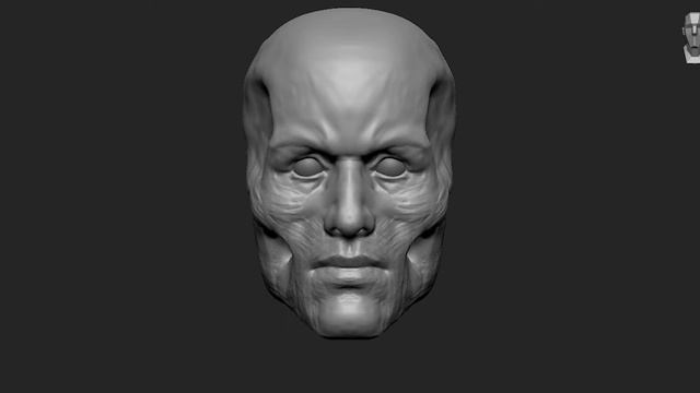 Timelapse - Anatomy skull/head in ZBrush смотреть онлайн