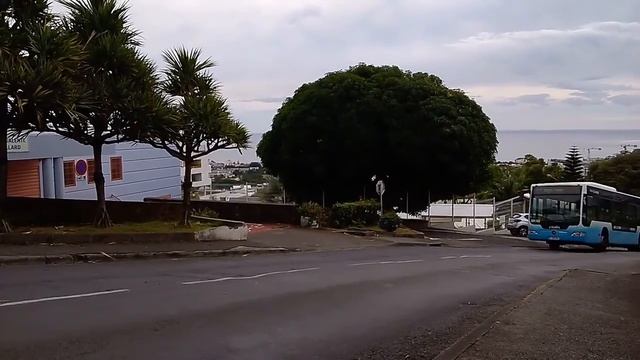 Compilation de passage de bus et car citalis. смотреть онлайн