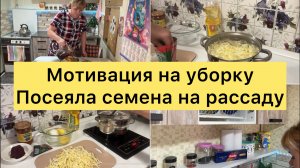 Мотивация на уборку  Посеяла семена на рассаду