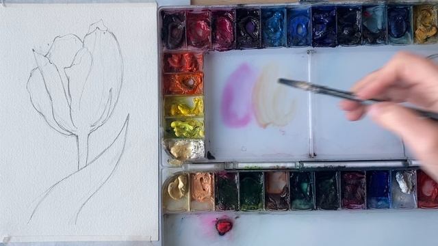 Тюльпан акварелью. Часть 3 смотреть онлайн