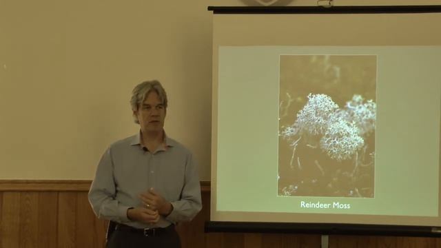 Reindeer Moss Flower Essence - by Alaskan Essences смотреть онлайн